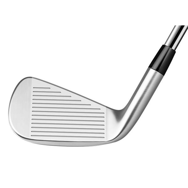 p790 iron 19 ext8