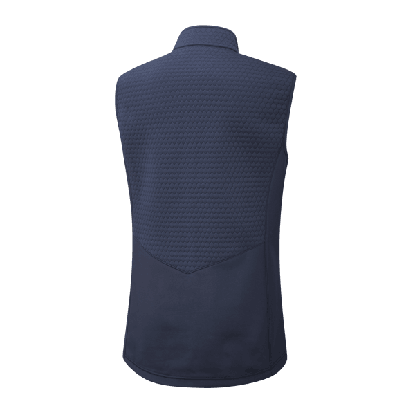 p93521 primrose oxford blue back