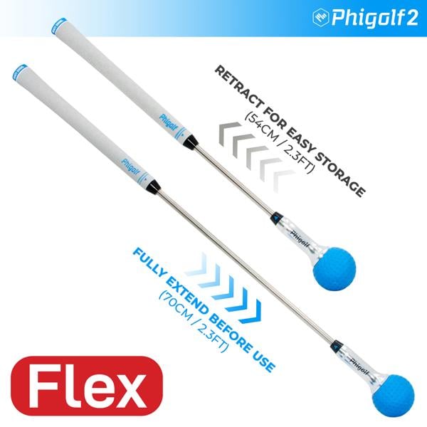 phigolf 2 flex ex3