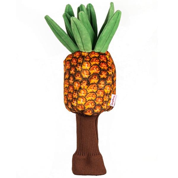 pineappleheadcover ex1