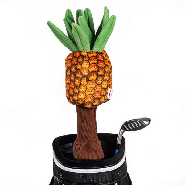 pineappleheadcover ex2