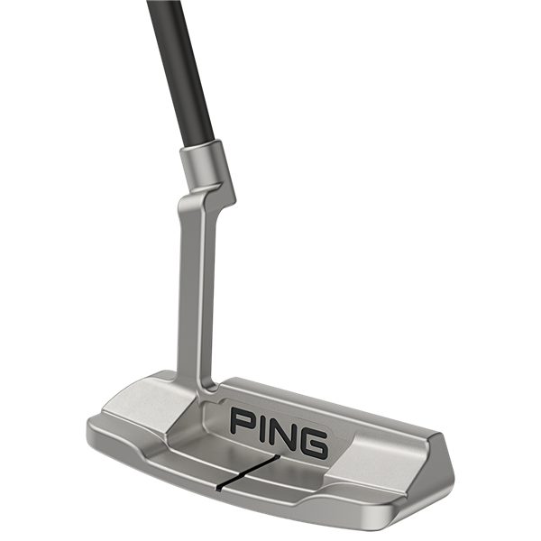 pingputters2024 anserd cavityrender