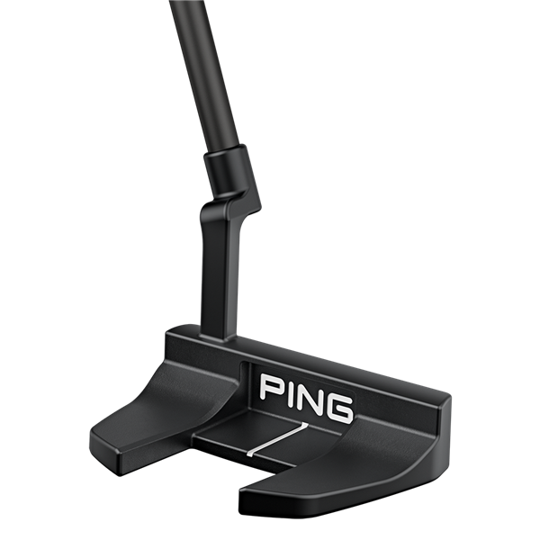 pingputters2024 tyneh cavityrender