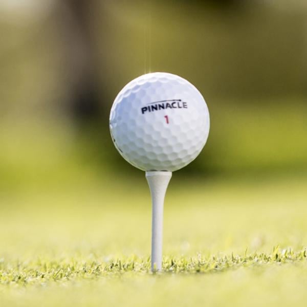 pinnacle distancewhite 15ct ex5