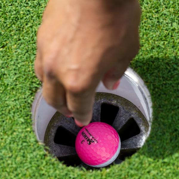 qst6 divide white pink ex12