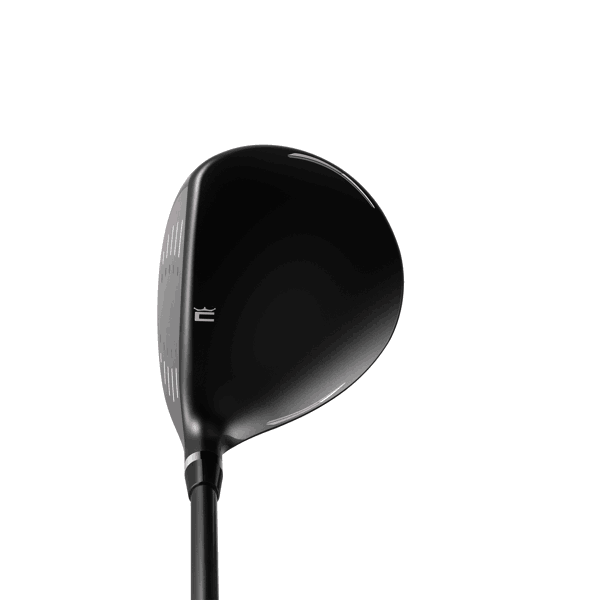 ramsey fairway elderberry address