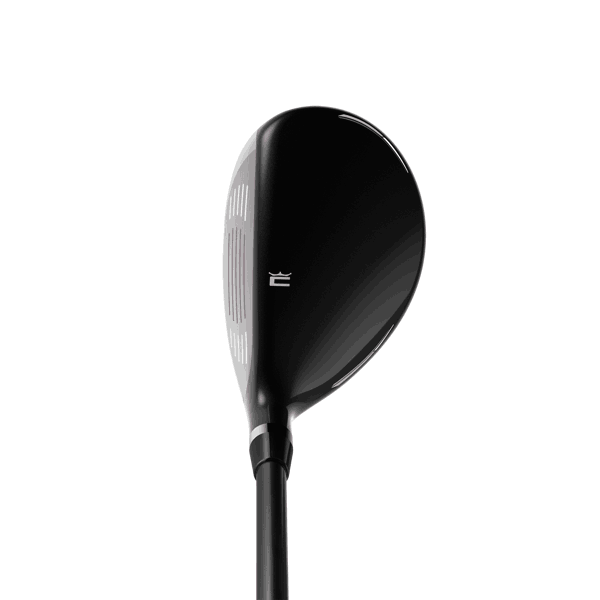 ramsey hybrid elderberry address