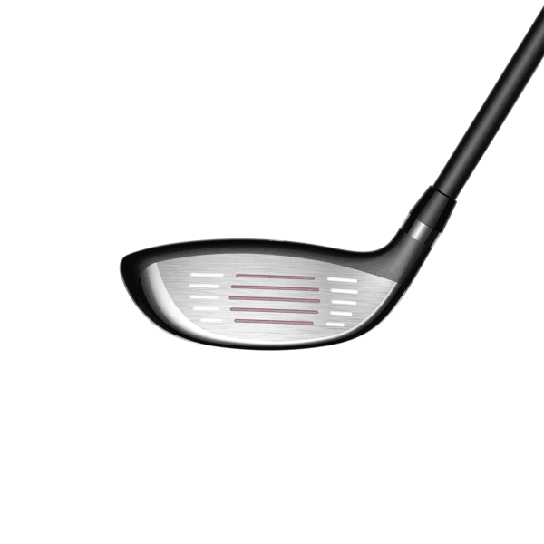 ramsey hybrid elderberry face