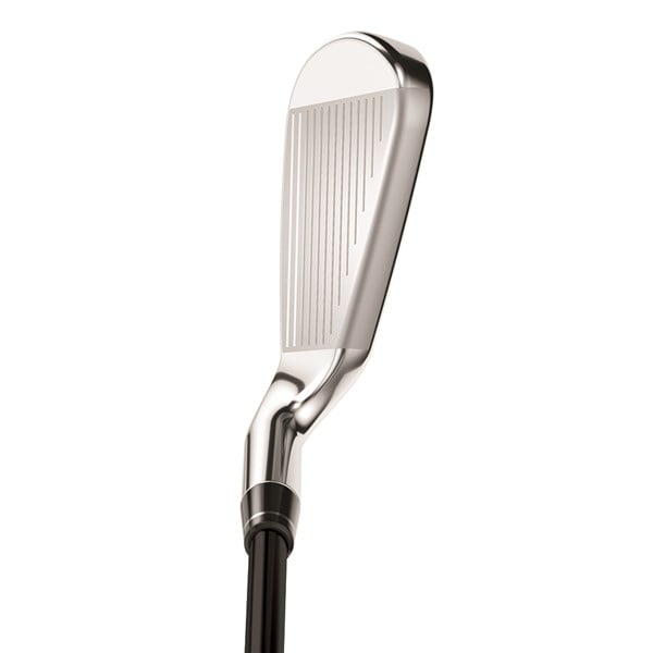 rogue st max os lite iron 2022 address