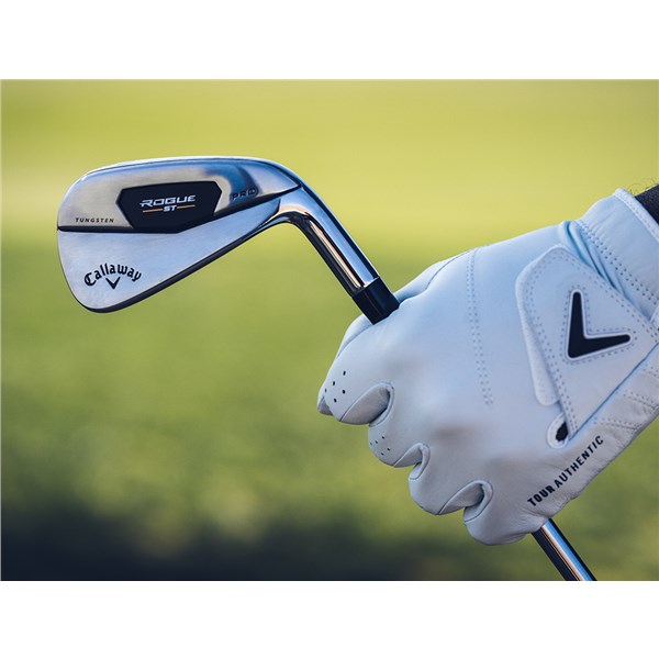 rogue st pro iron 12 16 21 02 3877