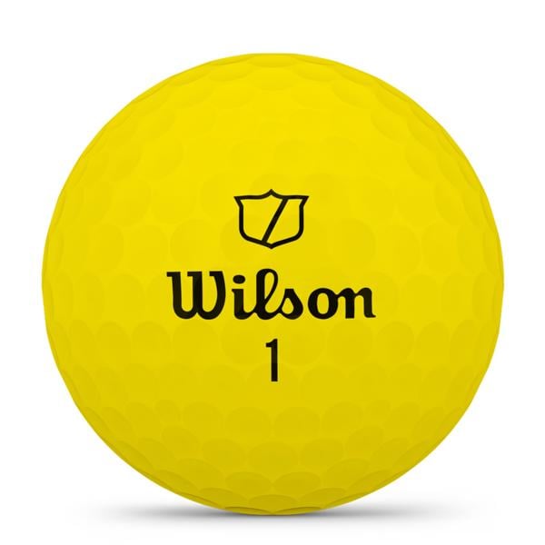 wg2009002 triad 12pk ex5