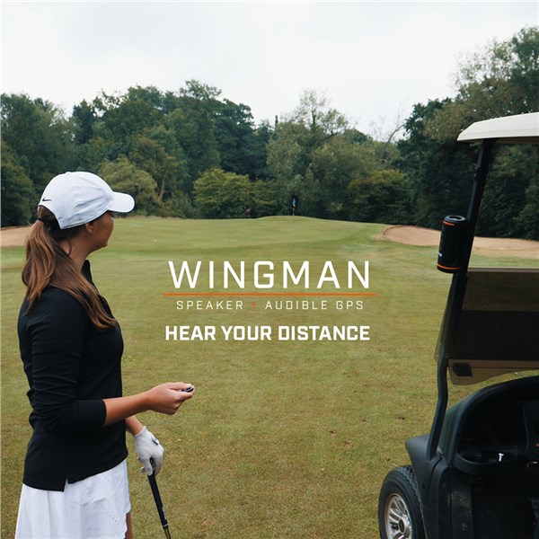 wingman1