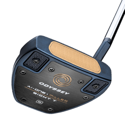 Browse Putters