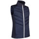 Navy/White