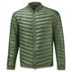 Bronze Green