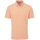Tangerine/White